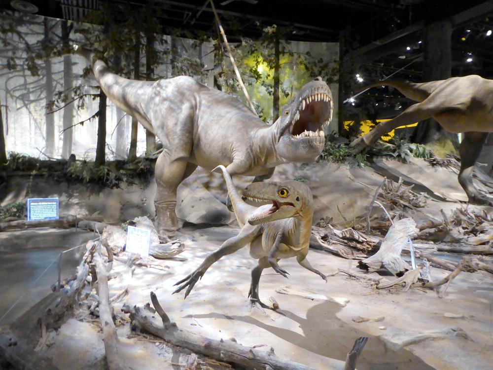 diorama-tyrannosaurus-rex-royal-tyrrell-museum-alberta